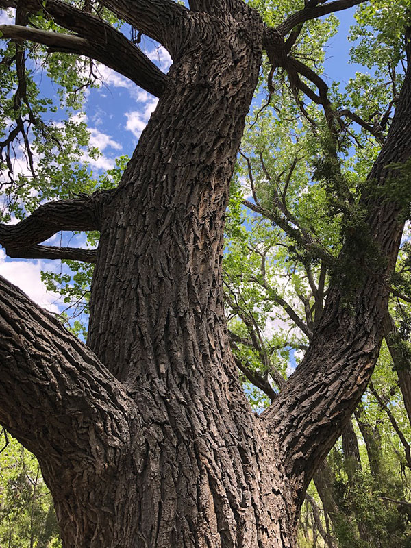 Galisteo NM adobe compound for sale